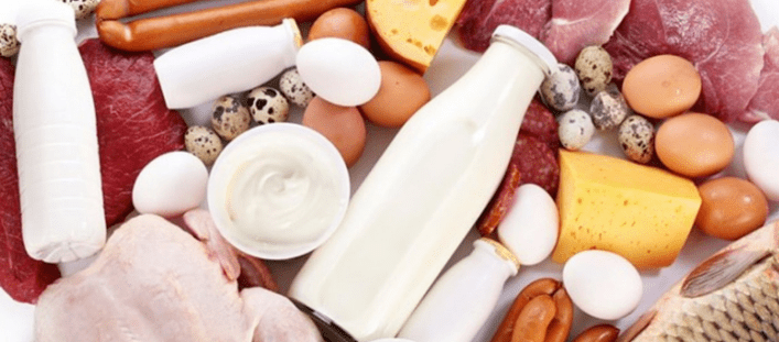 Ducana Protein Diät